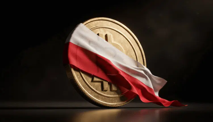 Polacy chcą jasnych regulacji rynku kryptowalut. Czy politycy wyciągną z tego wnioski?