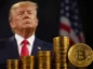 trump krypto