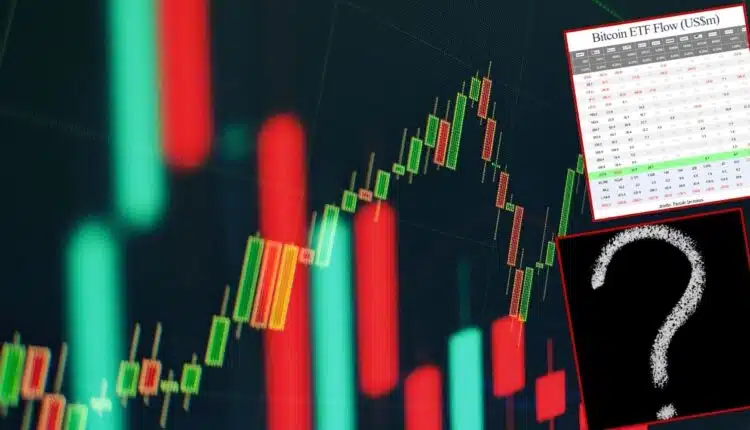 Szokujące dane z krypto ETF-ów. Wall Street woli te altcoiny od samego Bitcoina