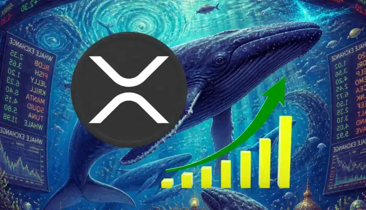 Ponad 231 mln XRP znika z giełd. Co planują wieloryby i jak zareaguje kurs XRP?