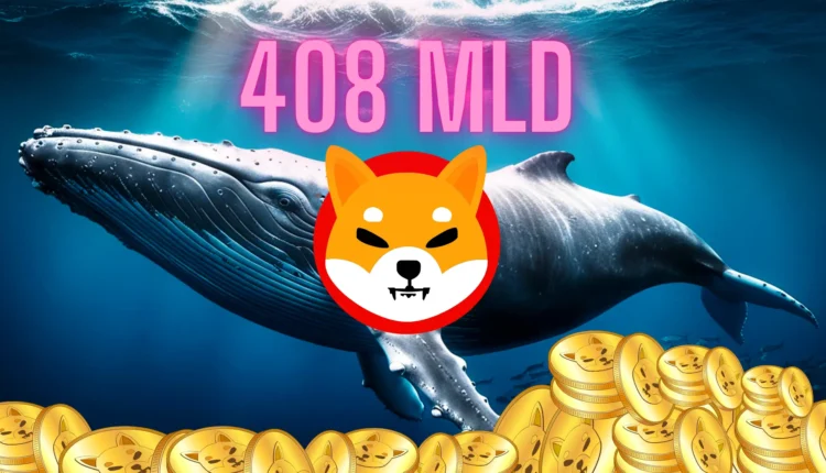 Wieloryb przenosi 408 mld tokenów SHIB.