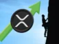XRP rośnie. W tle alpinista wspina się na szczyt.