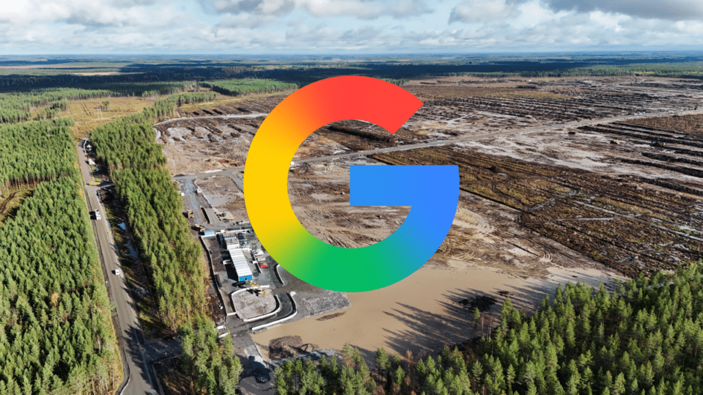 google wycięło las bez zgody