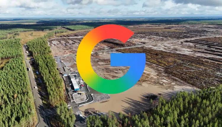 Google w ogniu krytyki! Wycięli nielegalnie setki tysięcy drzew by zbudować data center