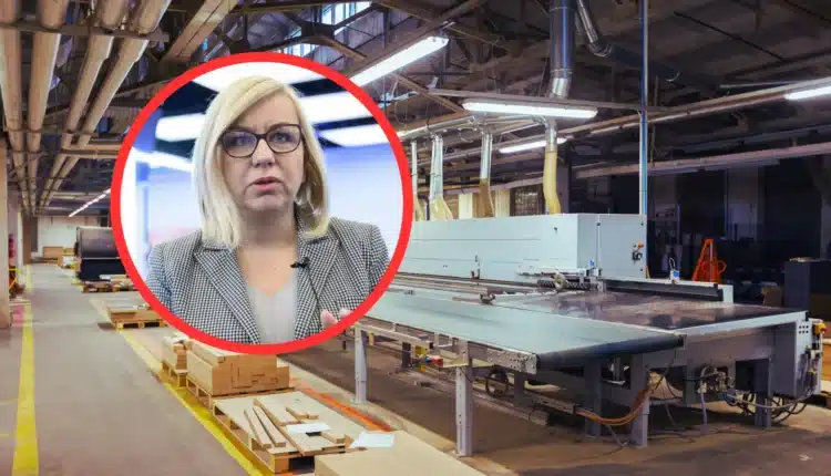 Branża meblowa w głębokim kryzysie. Firmy tną etaty i upadają. Winni politycy?