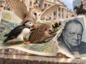 Jeż, płomykówka, maskonur i trzmiel rozrywają banknot z wizerunkiem Winstona Churchilla, na tle budynku Banku Anglii