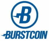 co to jest burstcoin
